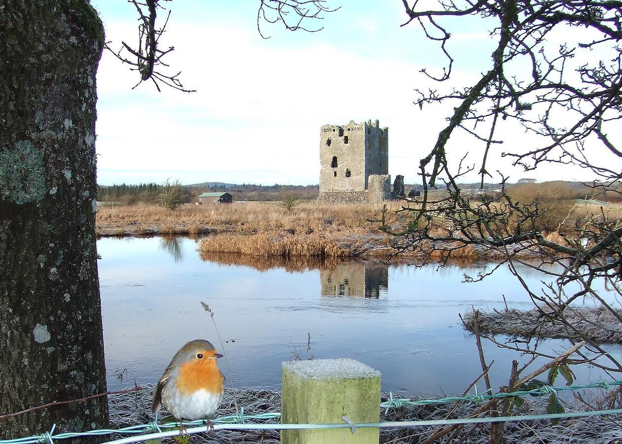 Douglas House Castle Douglas Eksteriør billede